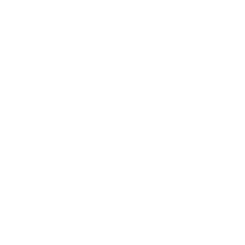 icon money