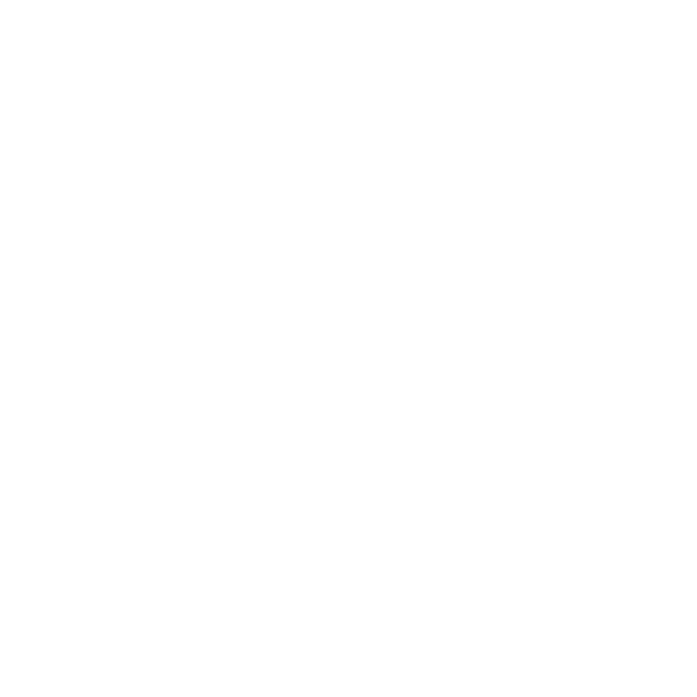 icon invoice